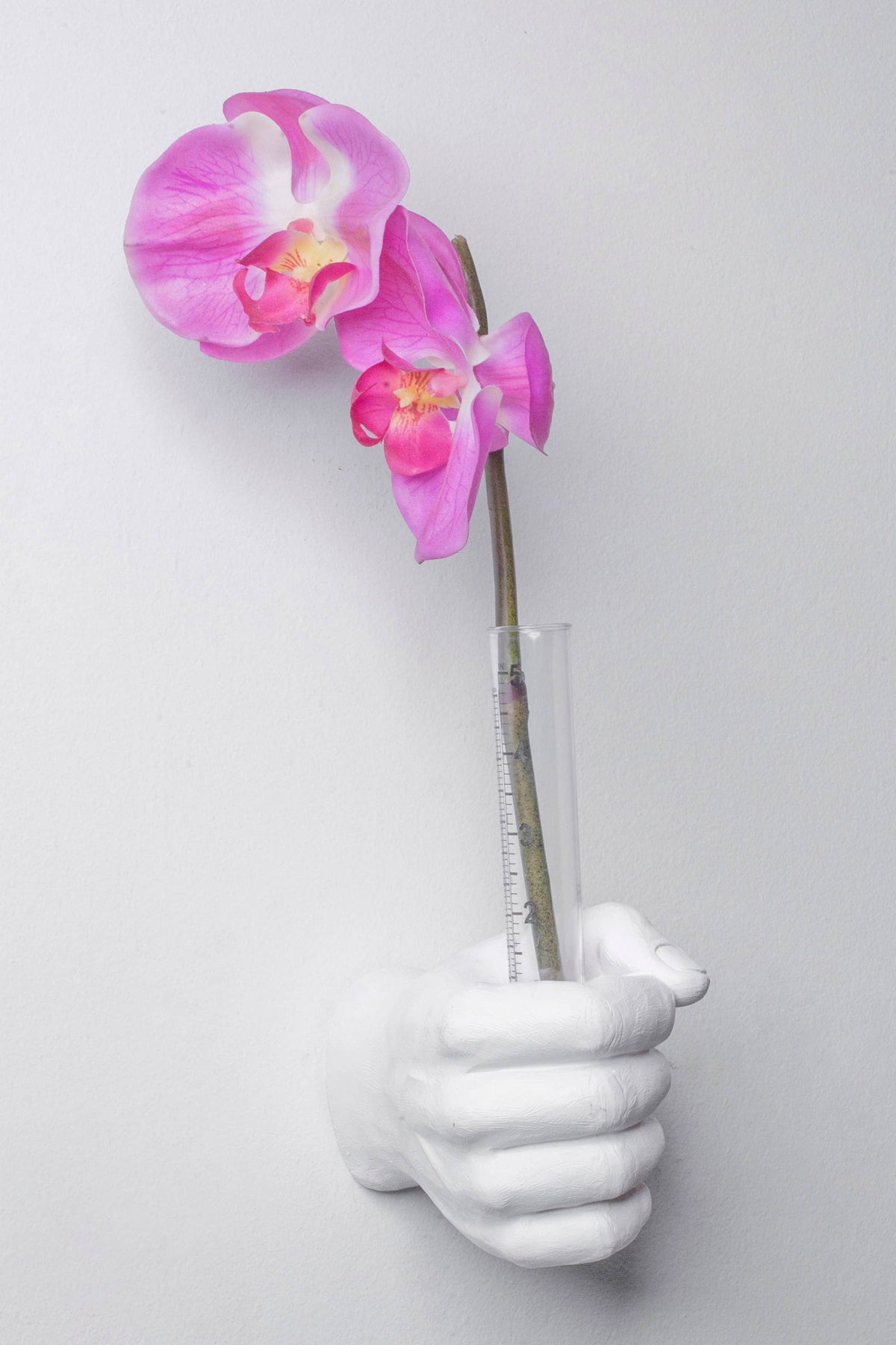 White vase hand wall hook holding a glass tube with a pink orchid stem