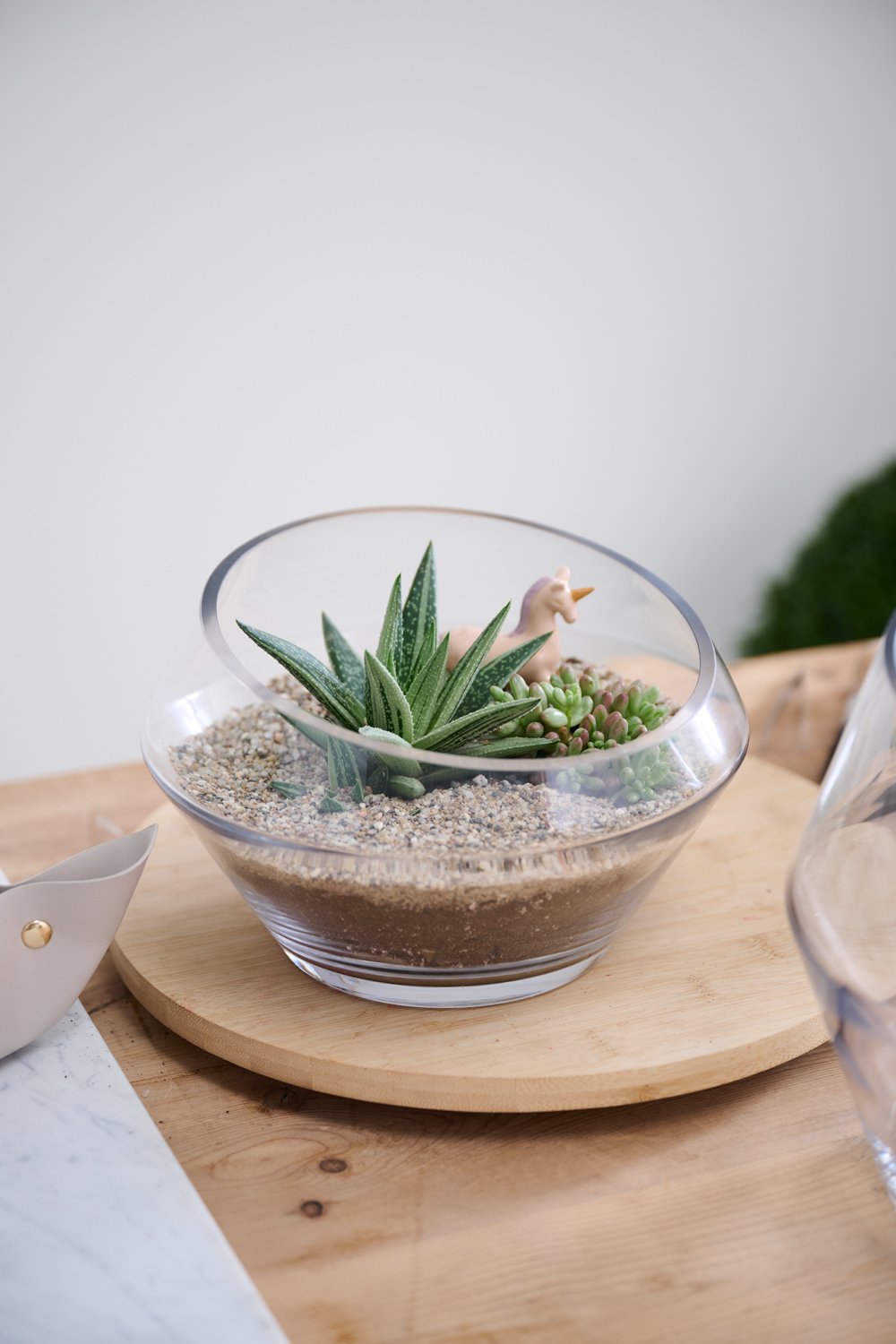 Short Dynamic terrarium planted with succulents in sand on a round wood board