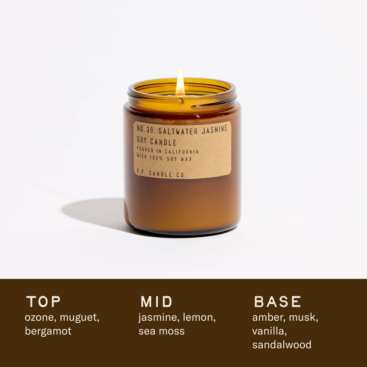 Lit Saltwater Jasmine candle above its listed scent notes, including jasmine, sea moss, amber and sandalwood