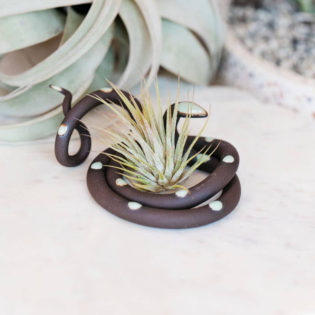 Dark brown ceramic snake with pale mint spots coiled around a small air plant on marble
