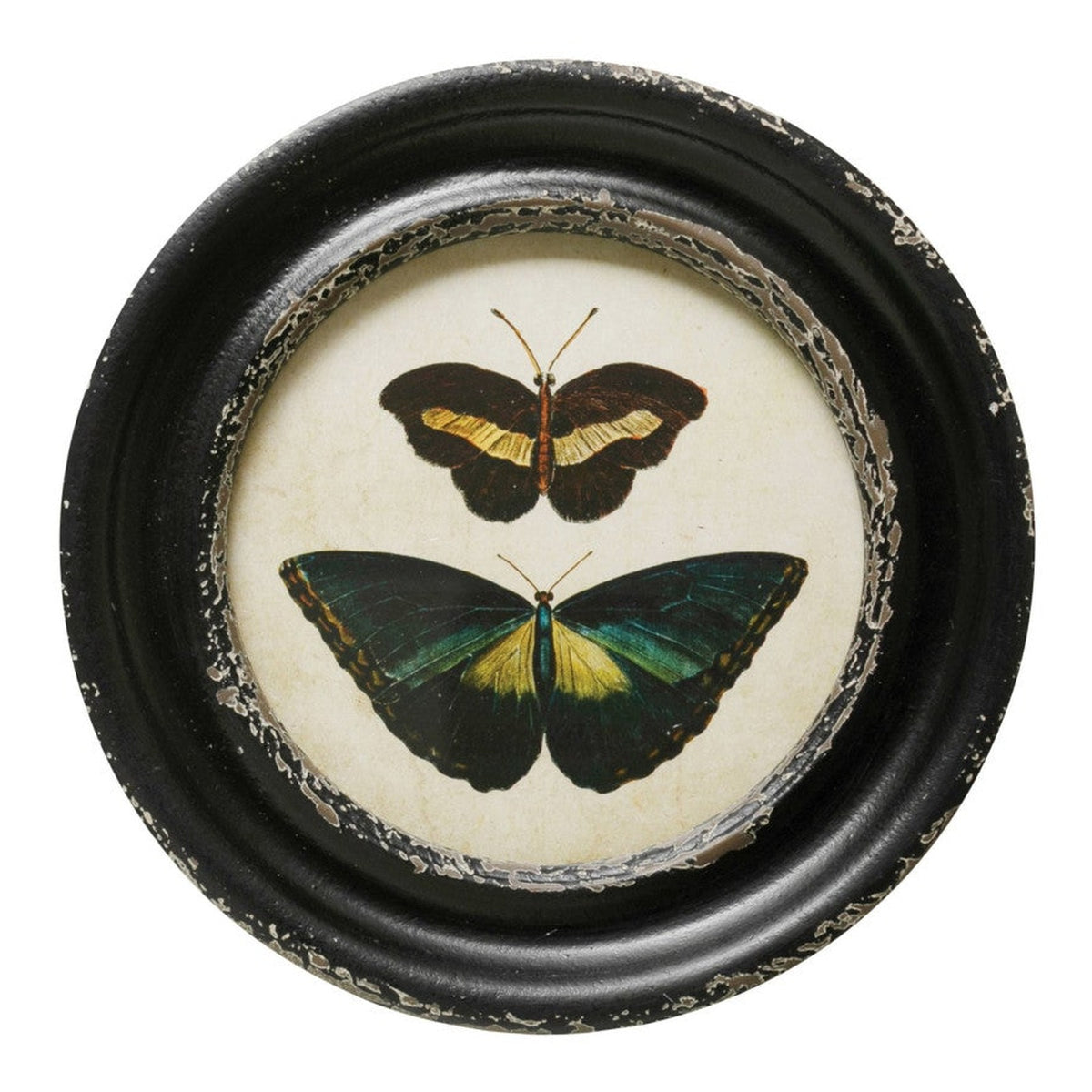 Fountaine round black wall frame with black and green butterflies