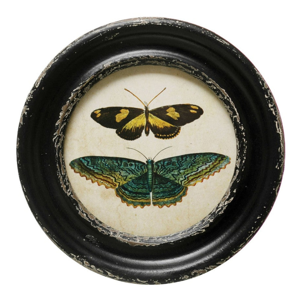 Fountaine round black wall frame with gold and teal butterflies