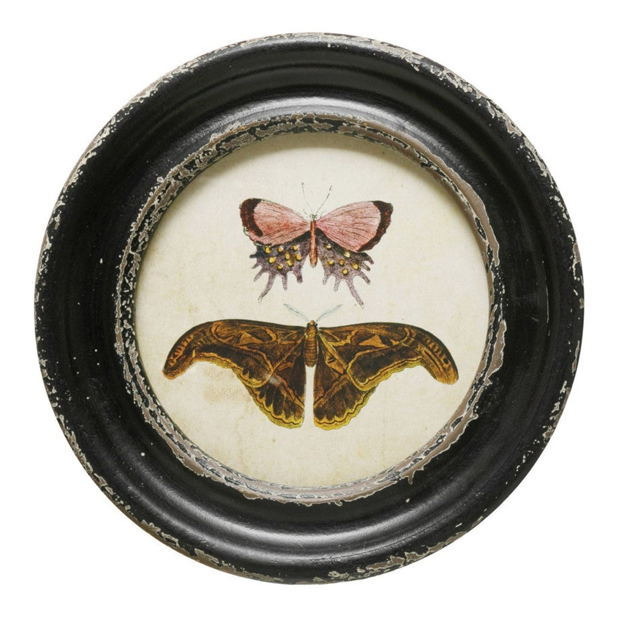 Fountaine round black wall frame with pink and amber moths
