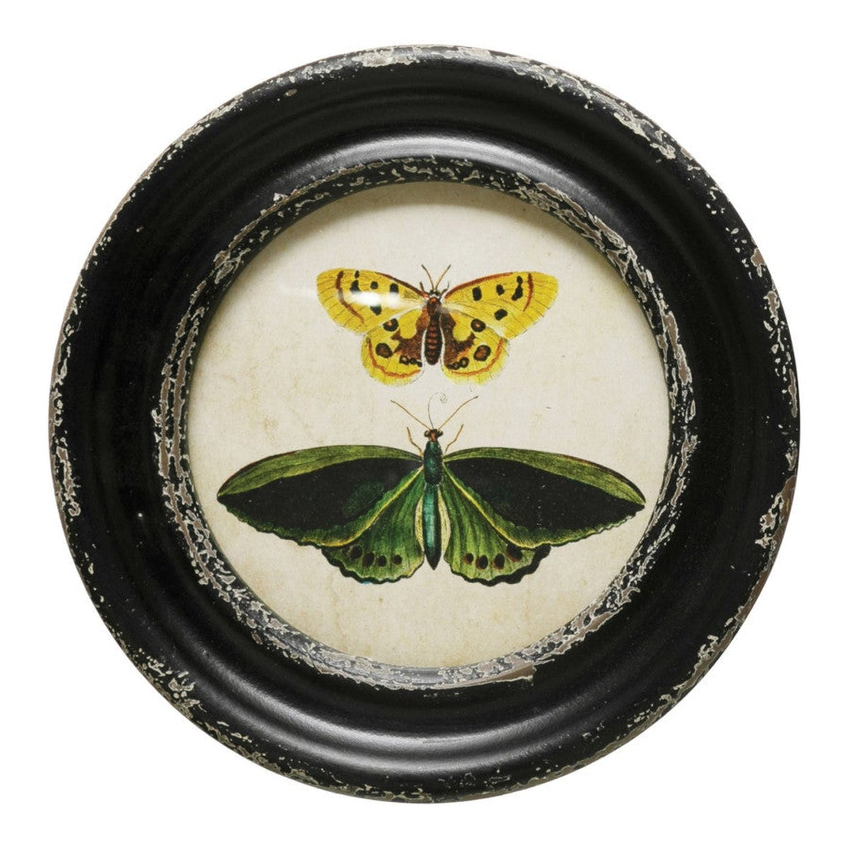Fountaine round black wall frame with yellow and green butterflies