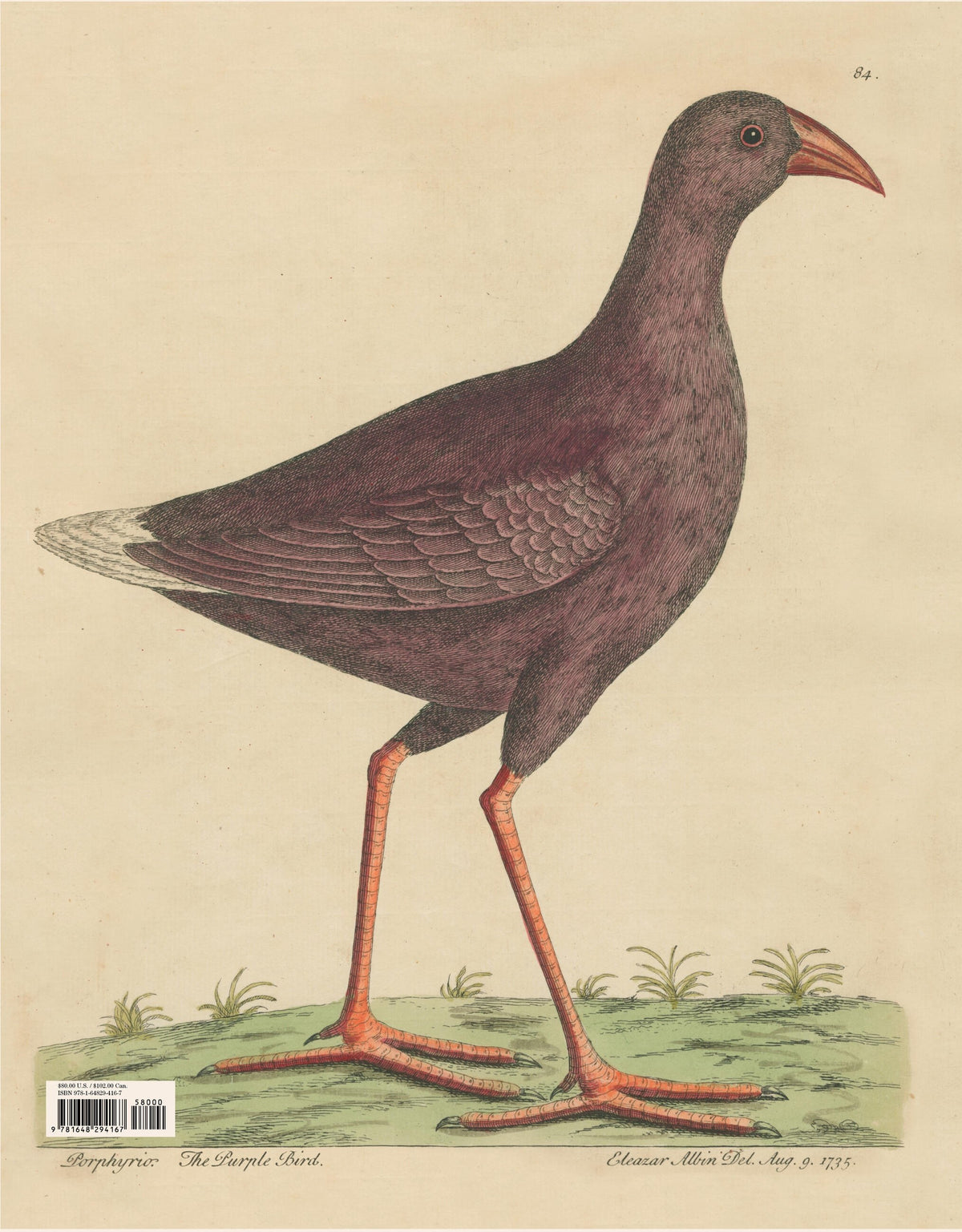 Back cover of Picture Book II, a vintage hand-colored engraving of a purple moorhen on a cream ground