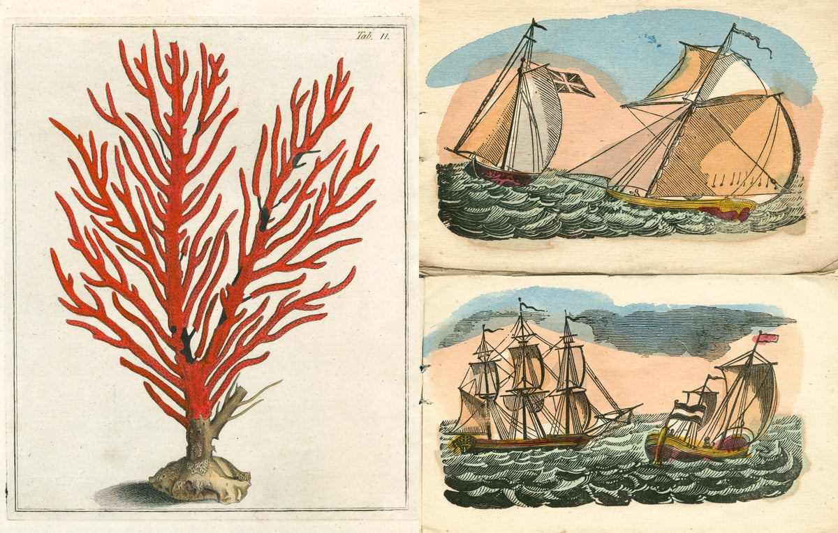 Inside Picture Book II: a red coral engraving opposite two hand-colored scenes of sailing ships at sea