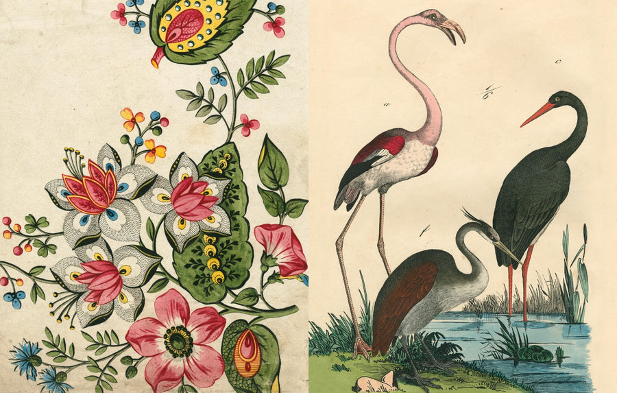Inside Picture Book II: a folk-art flower painting opposite a flamingo and herons by the water
