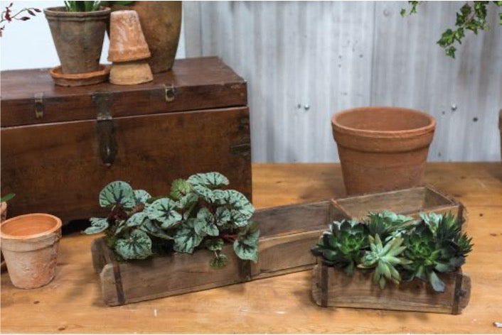 Two wood brick moulds used as planters, one with silver-leaf begonias and one with succulents, on a wood table