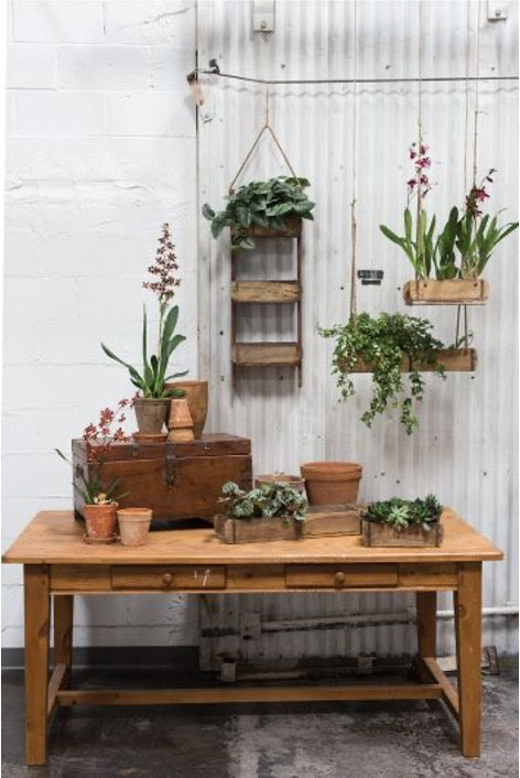 Wood brick moulds as planters and hanging shelves, styled with orchids, ferns, and terracotta pots on a rustic table