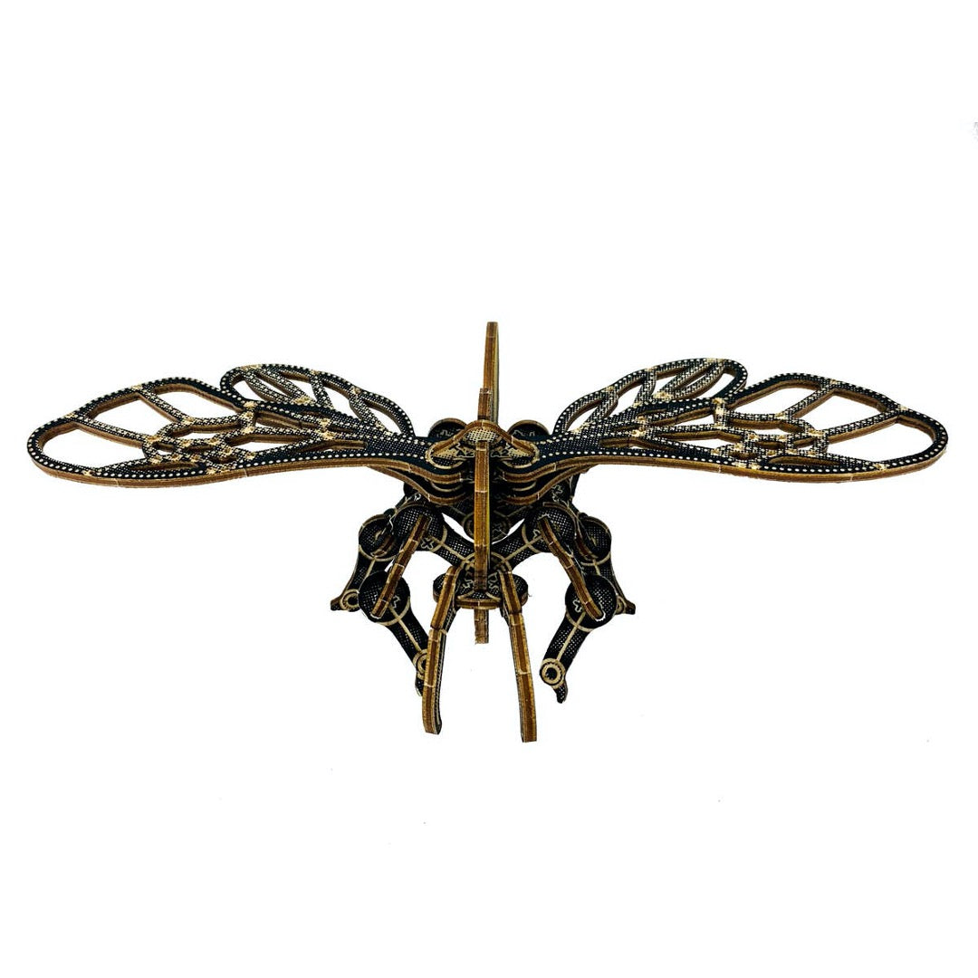 front view of 3d bumblebee model