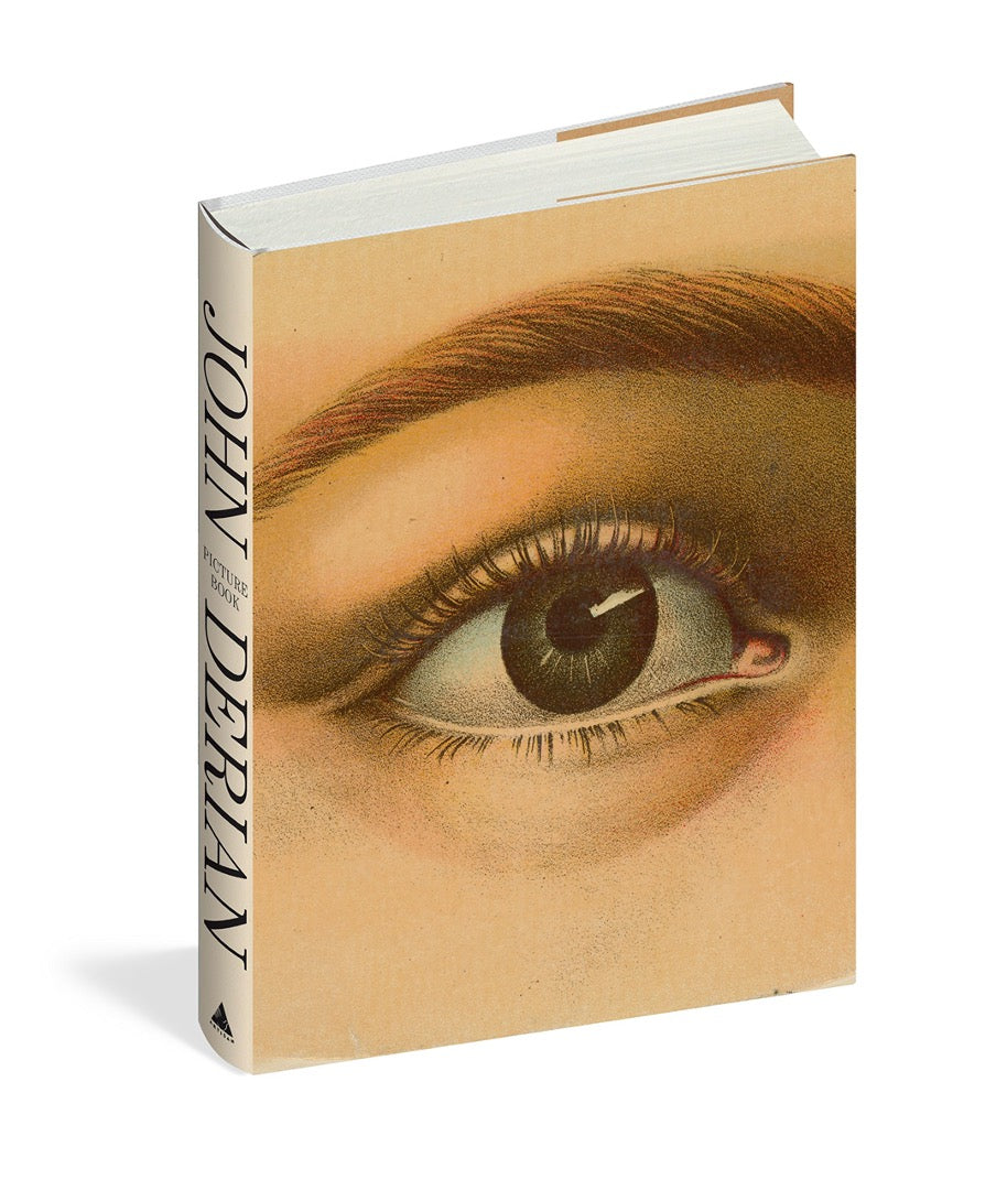 John Derian Picture Book hardcover standing at an angle, showing the eye cover art and cream title spine