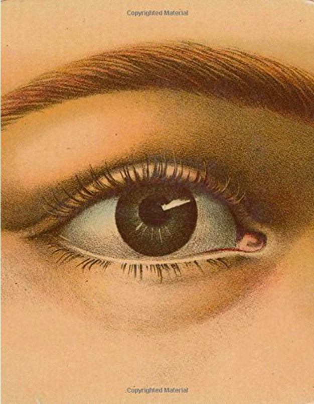 Closer view of the John Derian Picture Book cover art, a detailed antique drawing of a human eye
