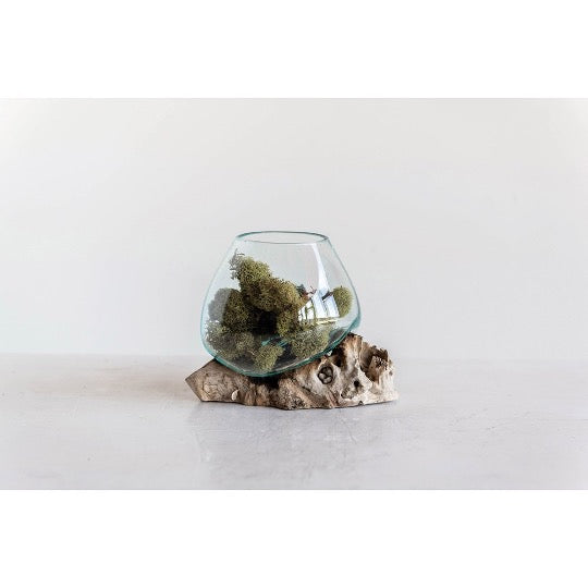 Glass vase molded over natural wood base with moss inside