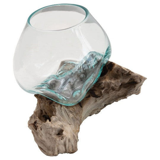 Lava terrarium, clear free-form glass bowl melted onto a weathered natural driftwood base
