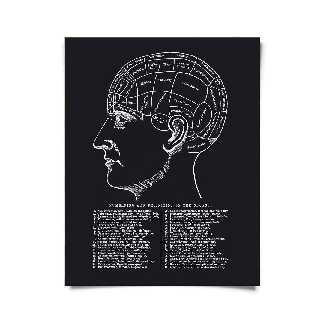 Phrenology chart print, white engraving of a head mapped into labeled regions with a numbered key on black