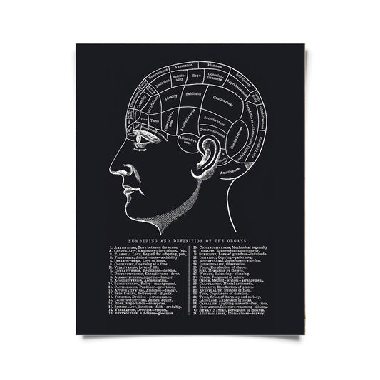 Phrenology chart print, white engraving of a head mapped into labeled regions with a numbered key on black