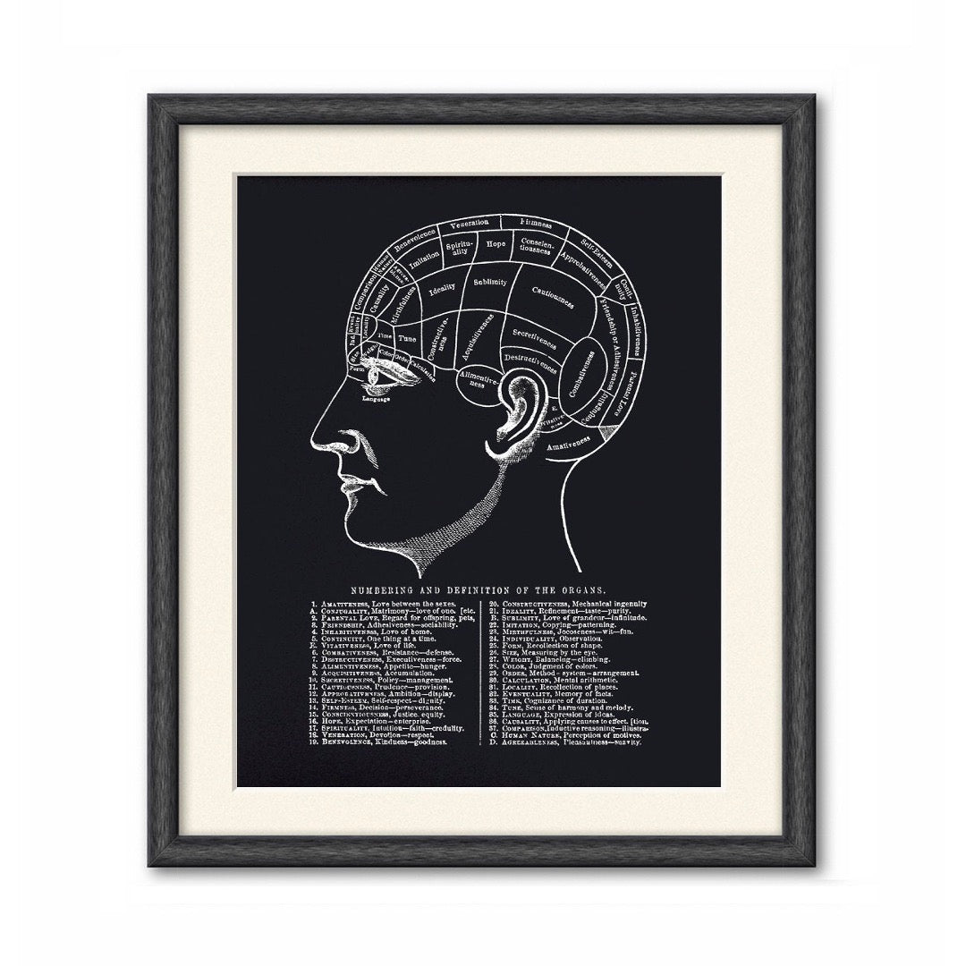 Phrenology chart print shown matted in a dark frame, white labeled head diagram on black