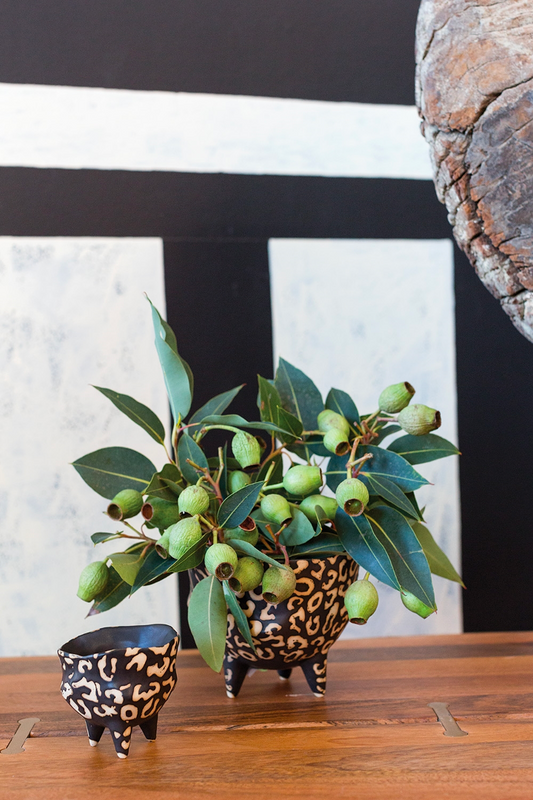 Leesi pots on a wooden table, the larger holding eucalyptus pods and leaves