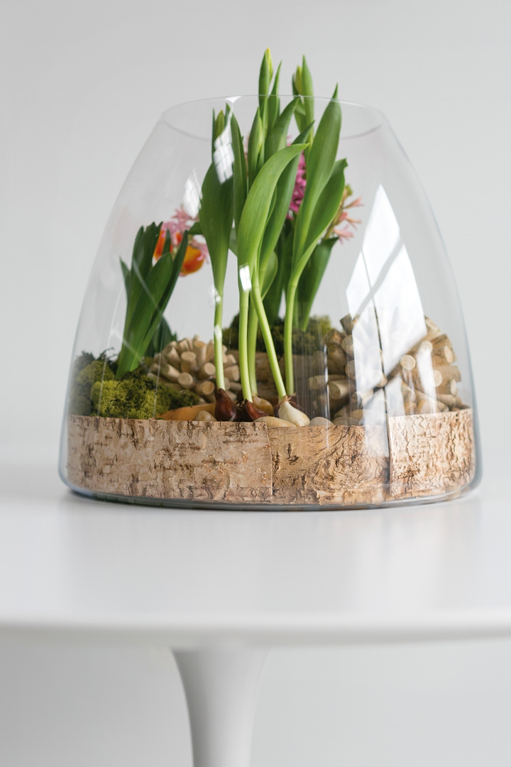 Jumbo terrarium planted with tulips, moss and wine corks over bark on a white pedestal table