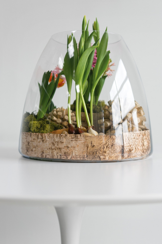 Jumbo terrarium planted with tulips, moss and wine corks over bark on a white pedestal table