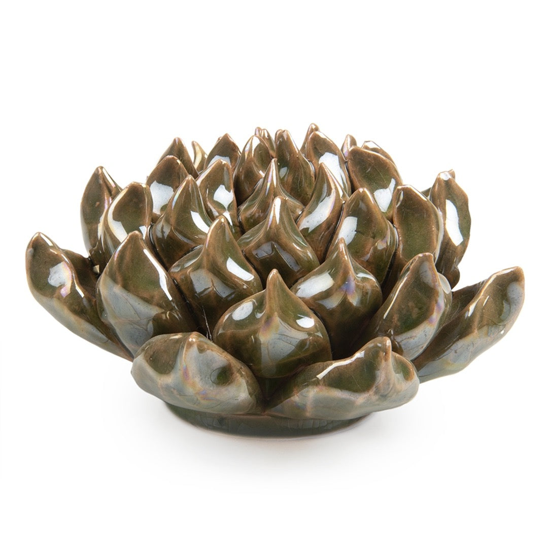 Ceramic green succulent 