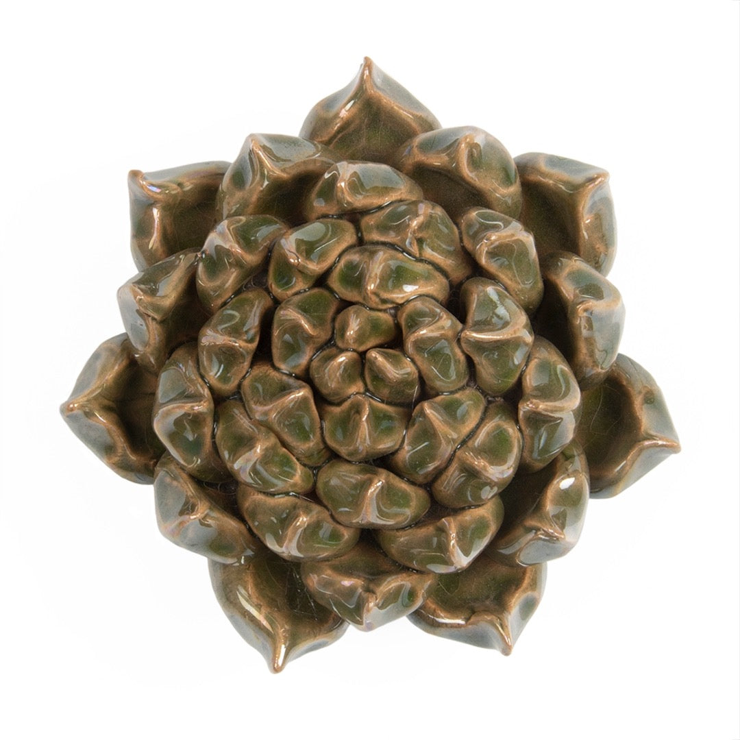 Ceramic Green Succulent