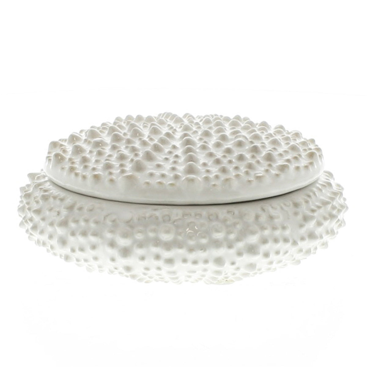 Urchin ceramic box in glossy white with a textured, studded urchin-shell lid, shown from the side