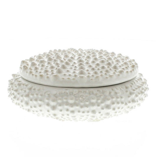 Urchin ceramic box in glossy white with a textured, studded urchin-shell lid, shown from the side